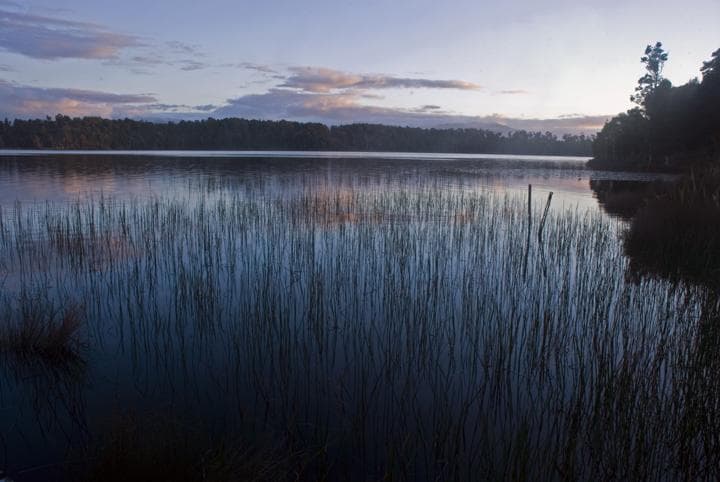 Lake Mahinapua